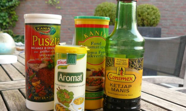 Smaakversterkers de grote verleiding update