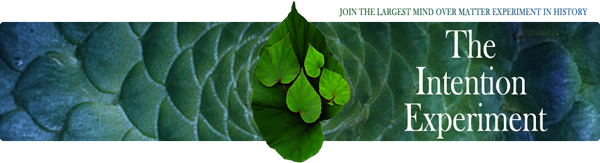 Wereld lichtactivatie The Love Wave