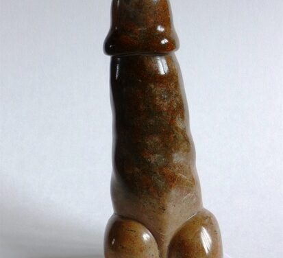Het Penis-project.