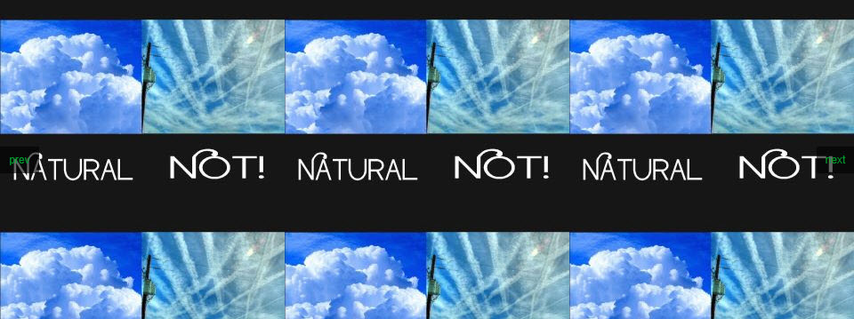 Verslag  Global March against Chemtrails