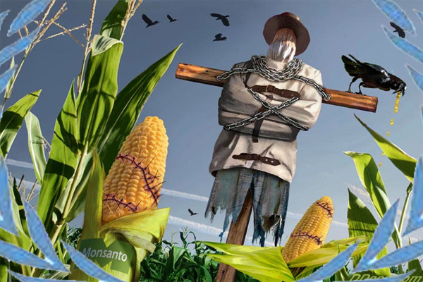Monsanto beschermingswet niet verlengd?
