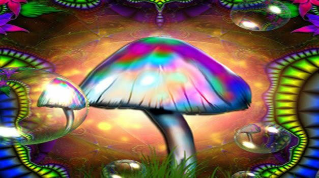 Het gebruik van psychedelische truffels