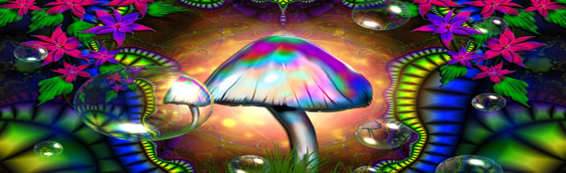 Het gebruik van psychedelische truffels