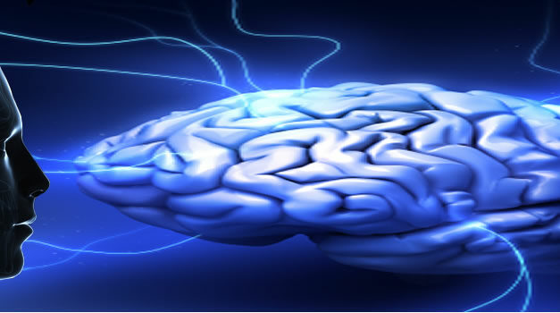 Brain Self Control via de Amygdala. Een ontdekking van fundamenteel belang voor de mensheid