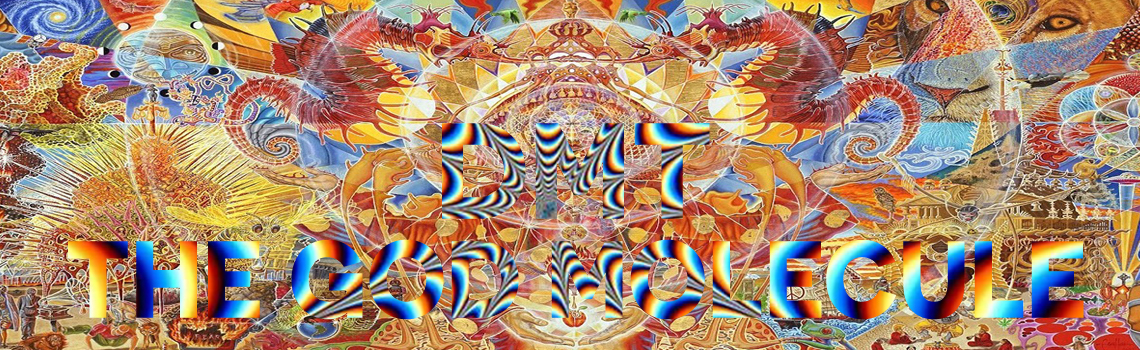 DMT, Dimenthyltryptamine, het Godmolecuul!